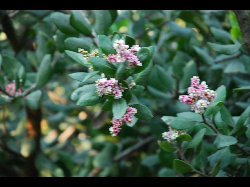 LB_Nature_Center0