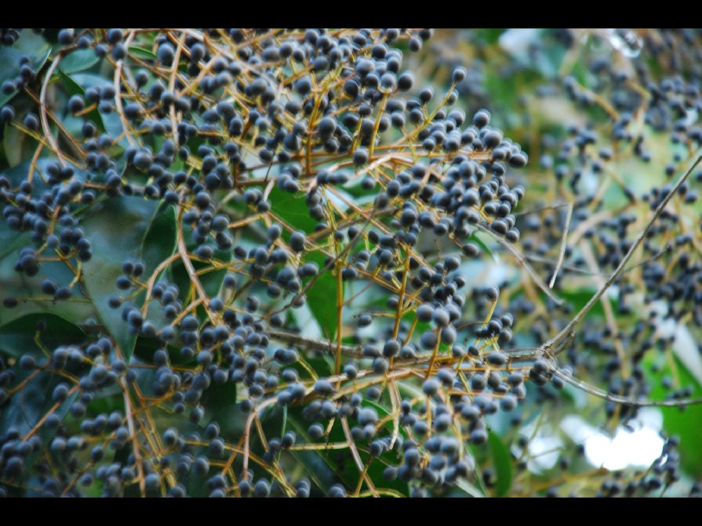 LB_Nature_Center1