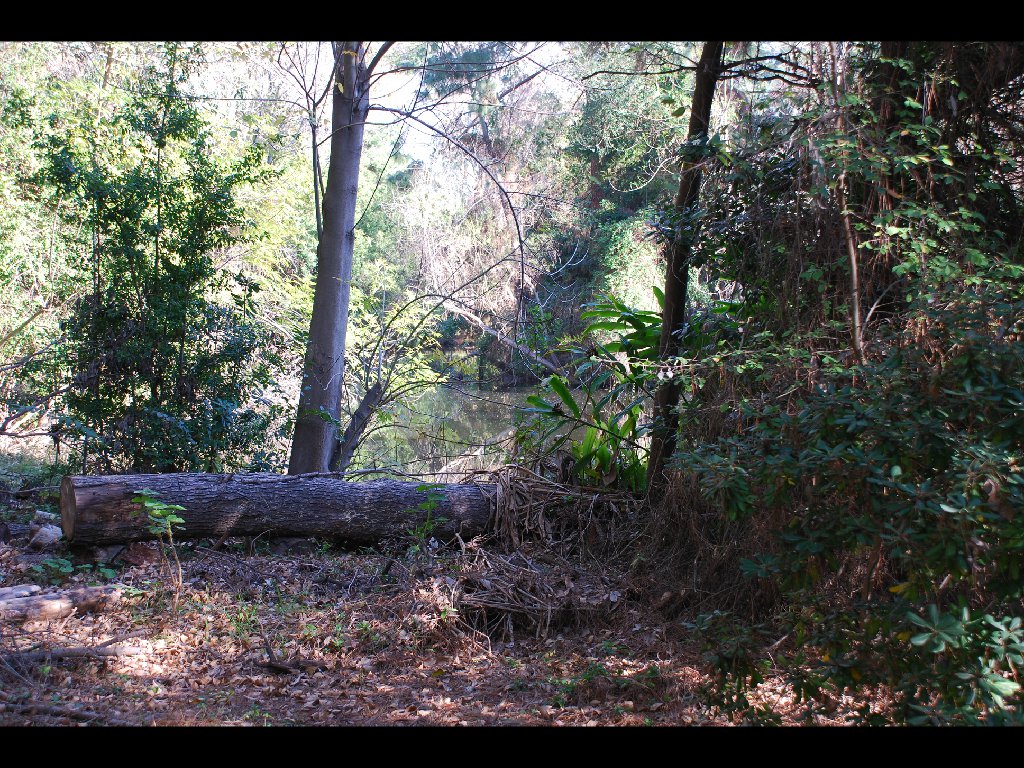 LB_Nature_Center6