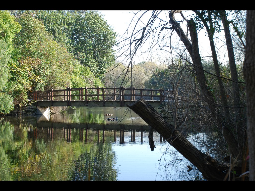 LB_Nature_Center8