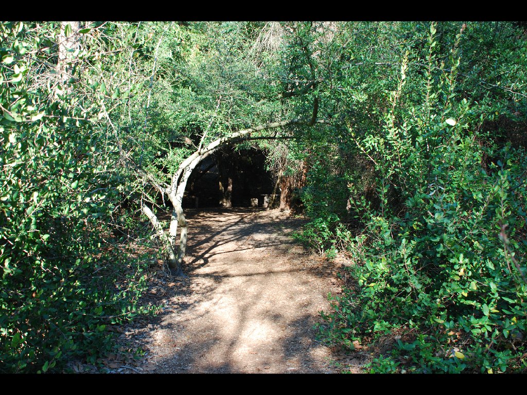 LB_Nature_Center13