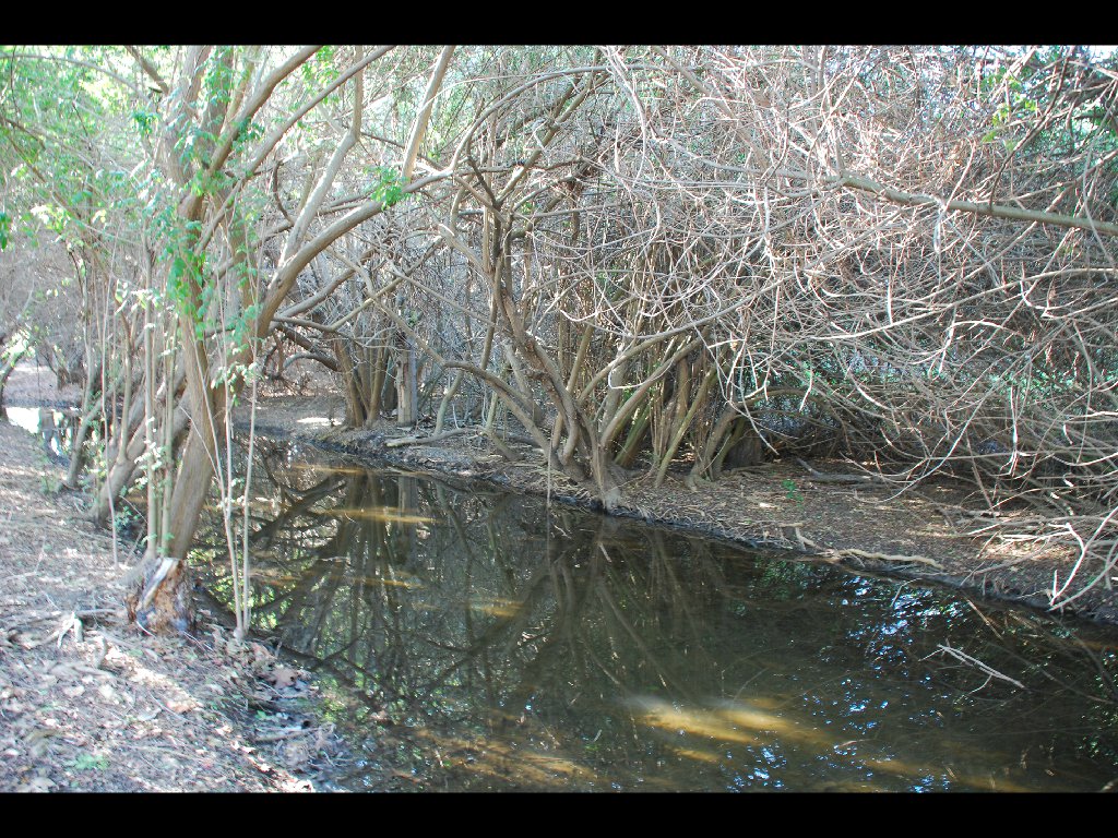 LB_Nature_Center15