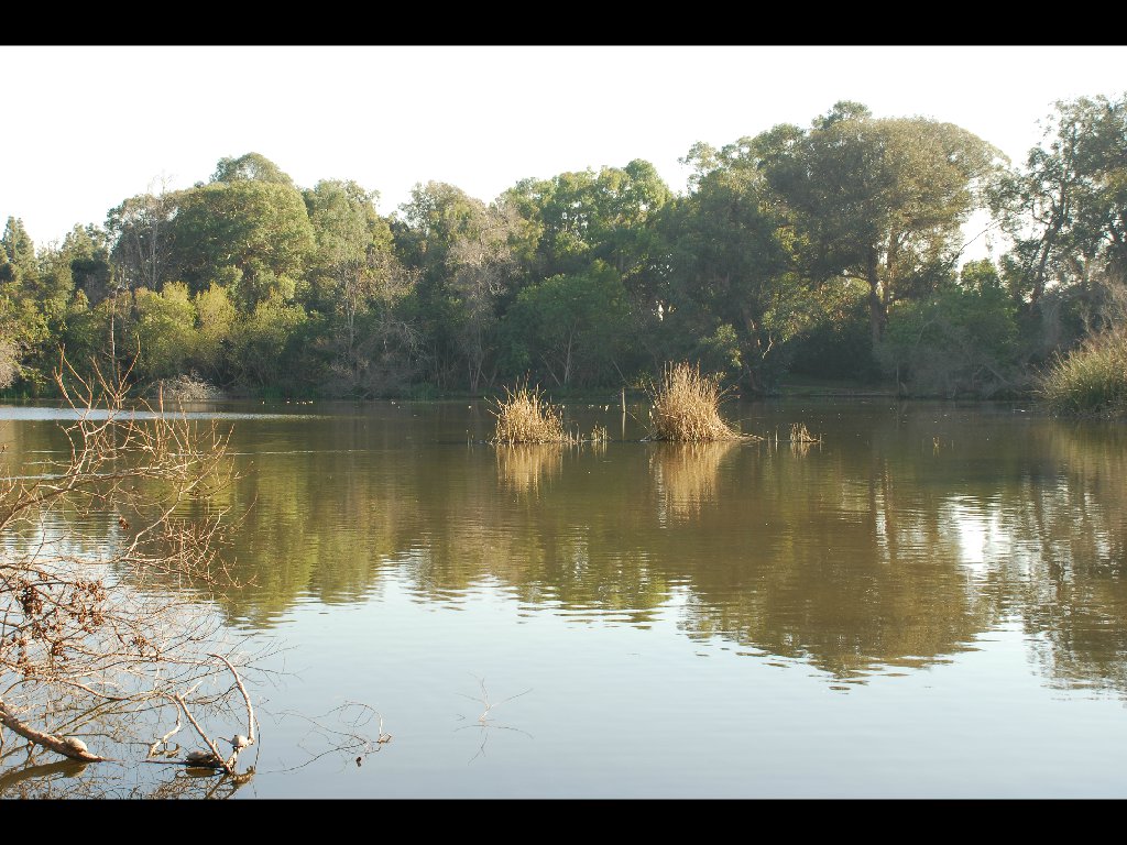 LB_Nature_Center16