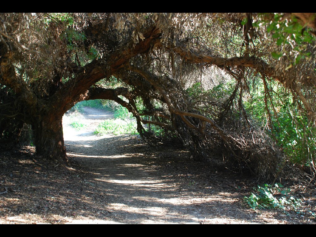 LB_Nature_Center19