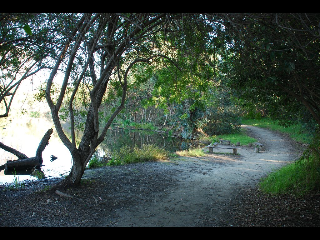 LB_Nature_Center21