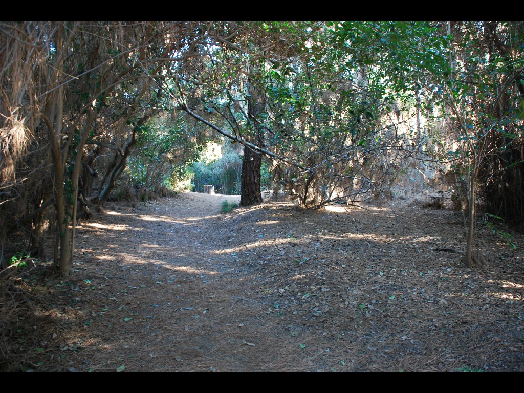 LB_Nature_Center23