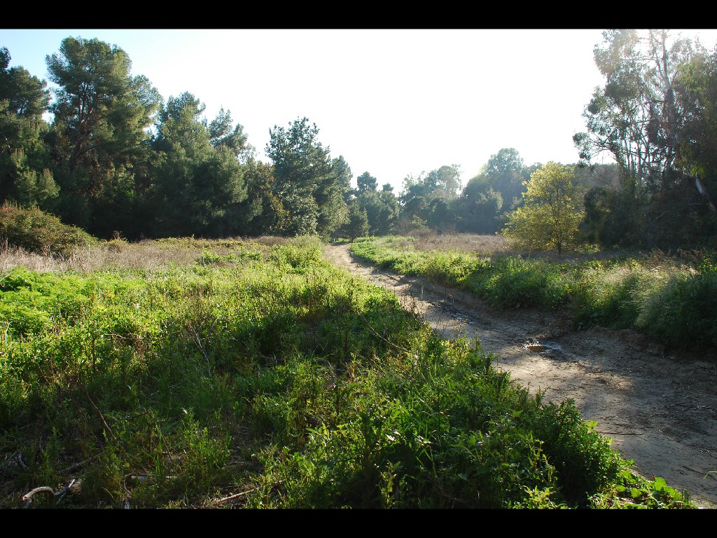 LB_Nature_Center24